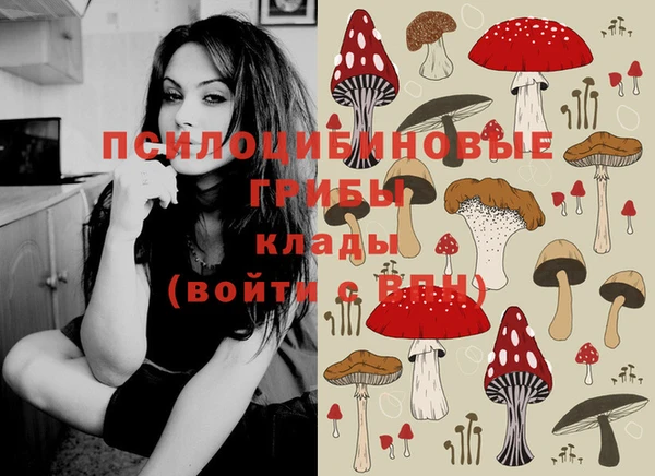 гашиш Володарск