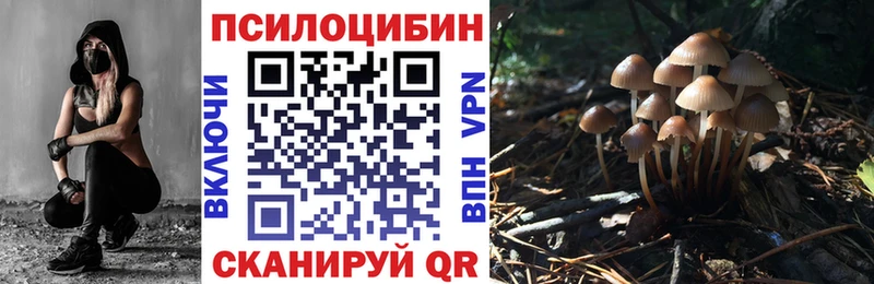 Галлюциногенные грибы MAGIC MUSHROOMS  Железногорск 