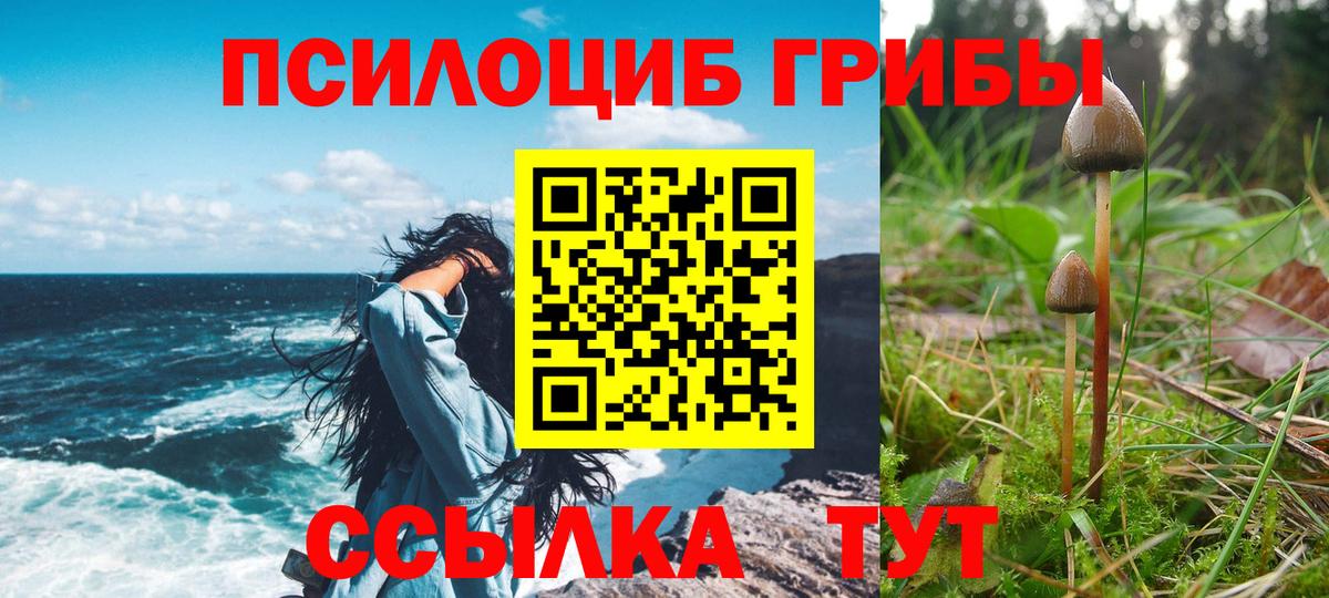 Псилоцибиновые грибы Magic Shrooms Железногорск