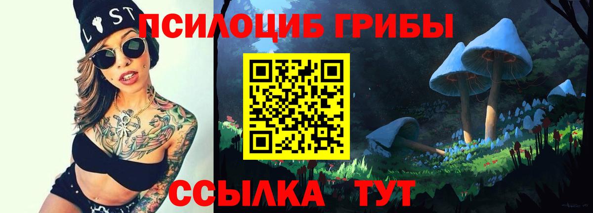 магазин  наркотиков  Вход с VPN  Железногорск  Галлюциногенные грибы Cubensis 
